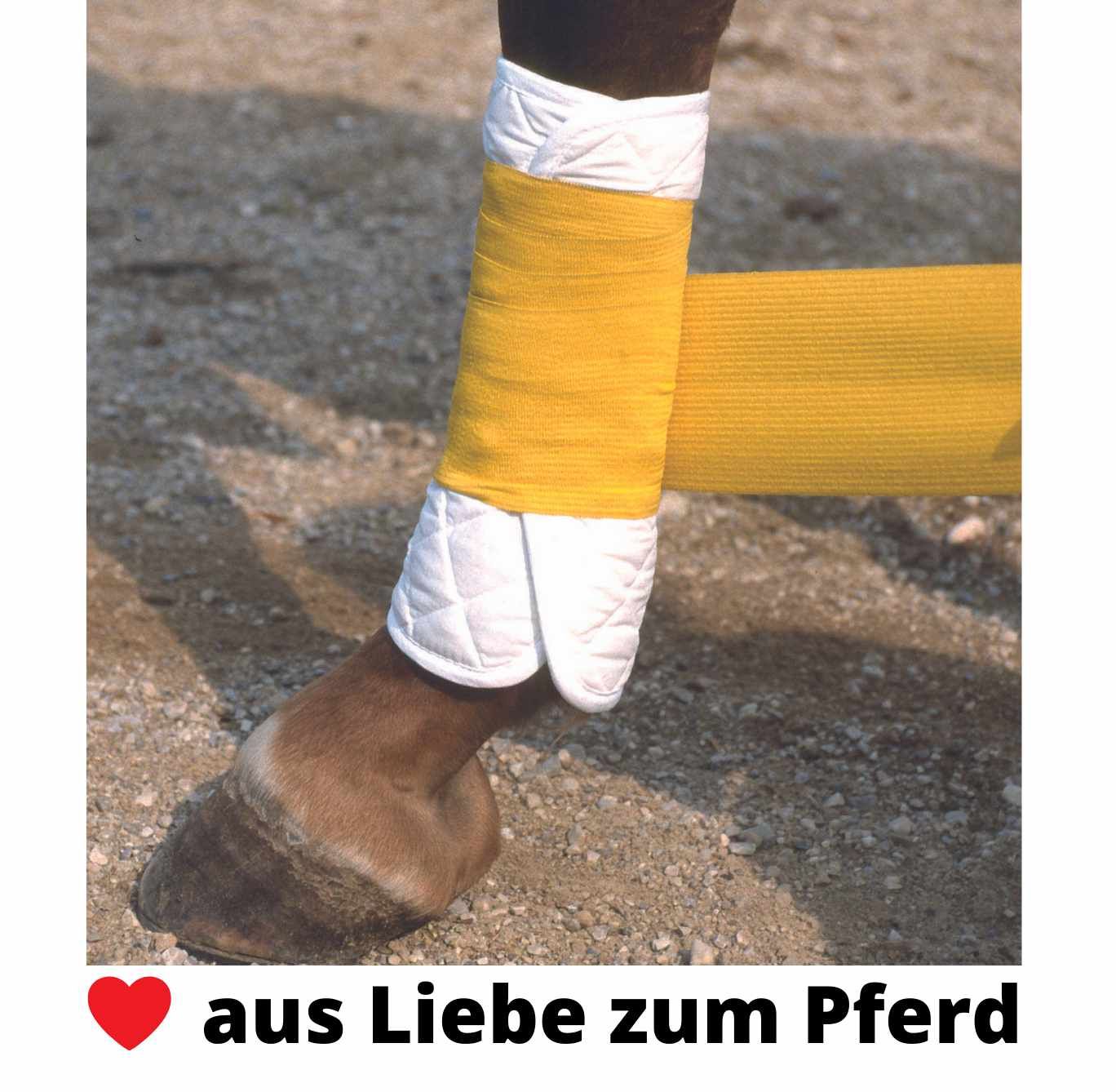 Waldhausen Bandagierkissen