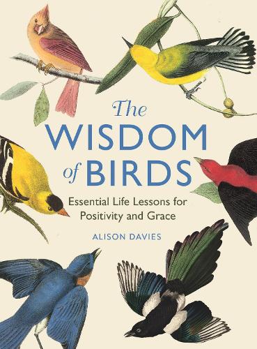 The Wisdom of Birds: Essential Life Lessons for Positivity and Grace (Hardback)