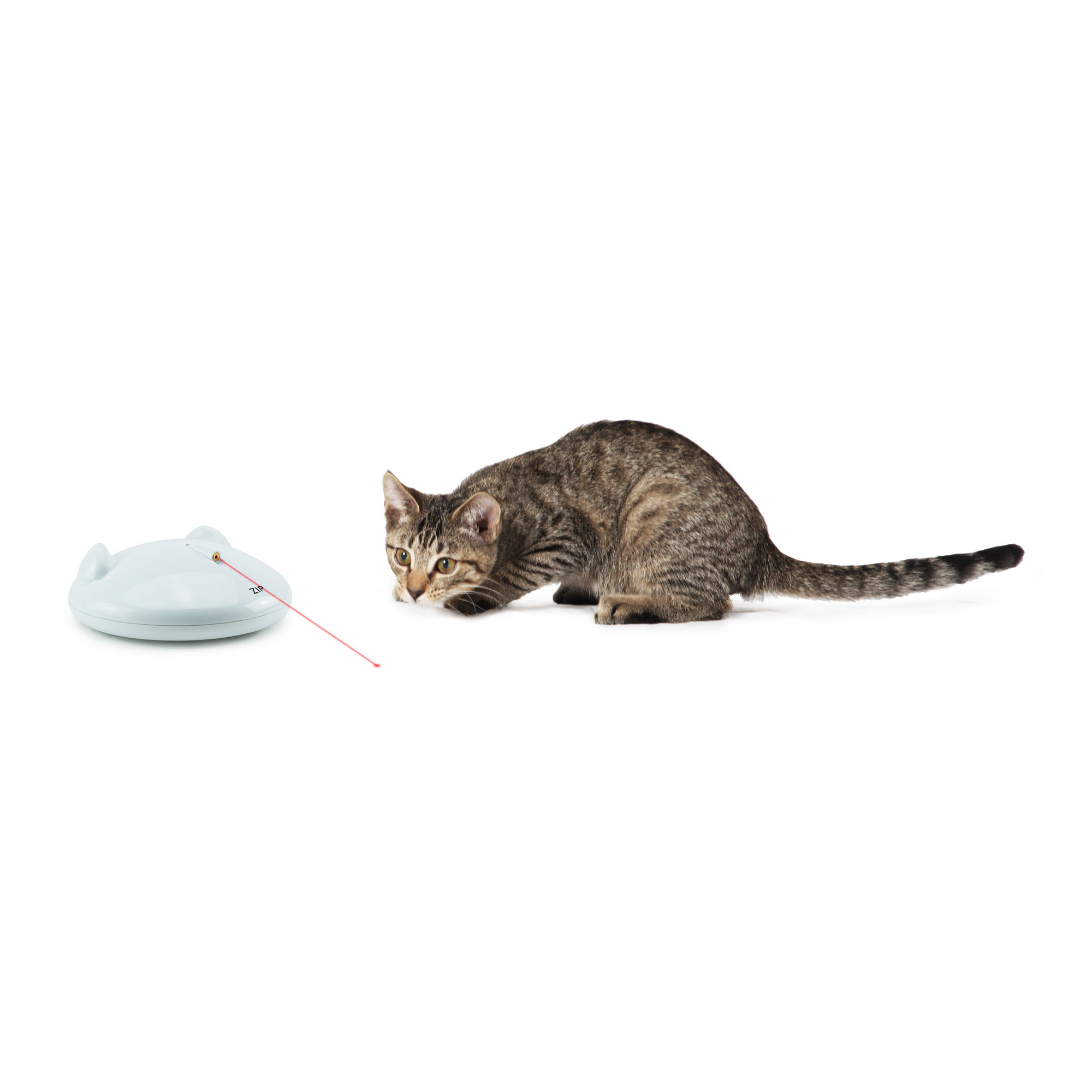 FroliCat Zip
