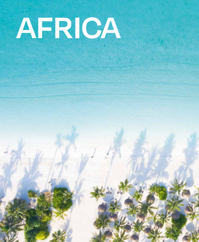 Palm Tree Destinations