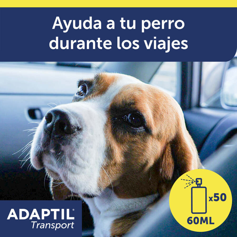 Spray calmante Adaptil Transport para cães