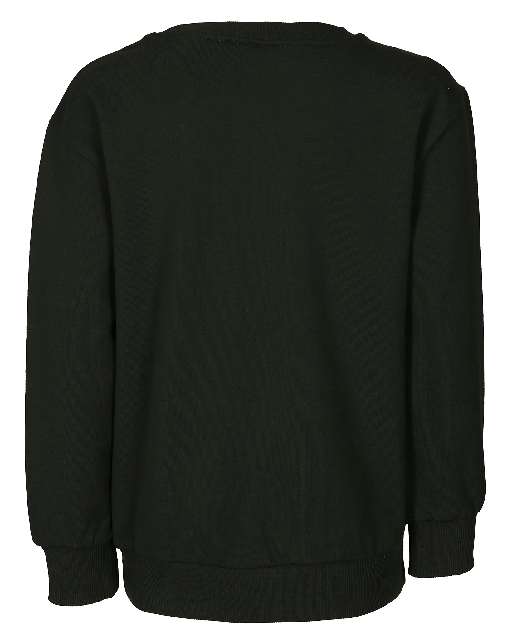 Sweatshirt SPACE EMBROIDERY in deep forest