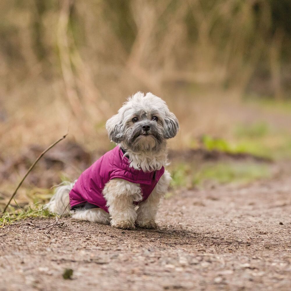 Trixie Hundemantel Arlay