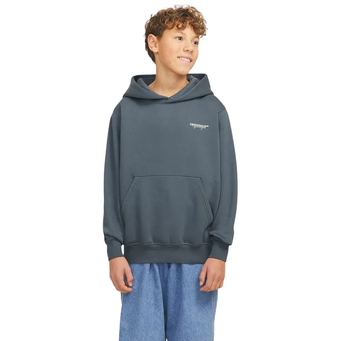 Jack & Jones Joris Lington Hoodie Junior