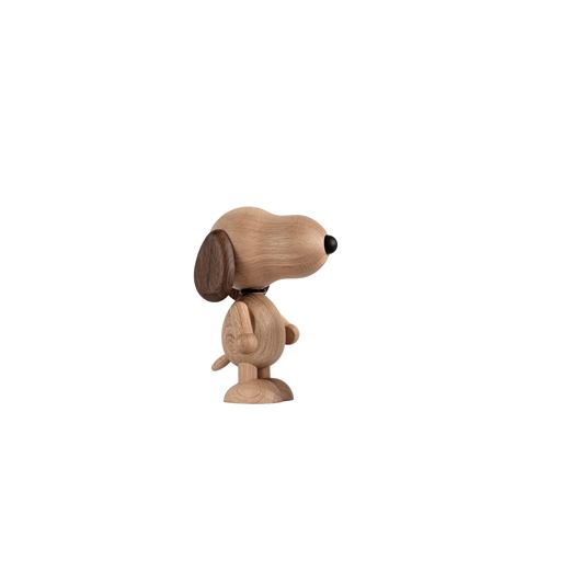 Boyhood Snoopy