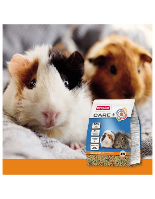 Beaphar Care Plus Cavia - Caviavoer