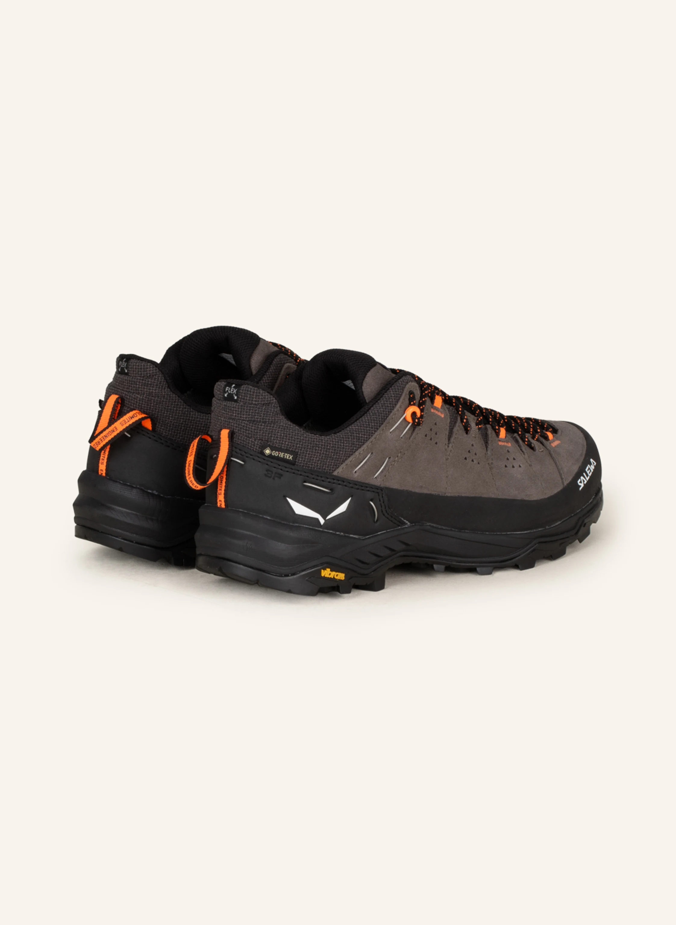 SALEWA Wanderschuhe ALP TRAINER 2 GTX