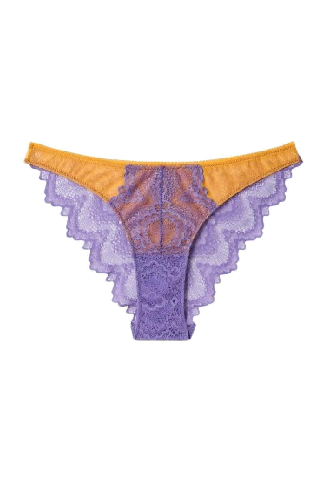Understatement Underwear Lace Mesh Bikini Briefs