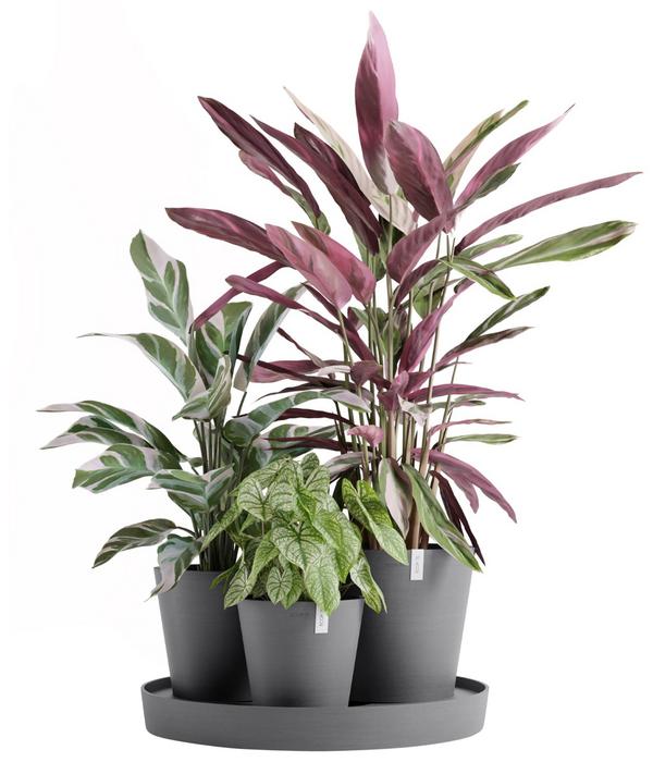 Ecopots Kunststoff-Topf-Set Dubai mit