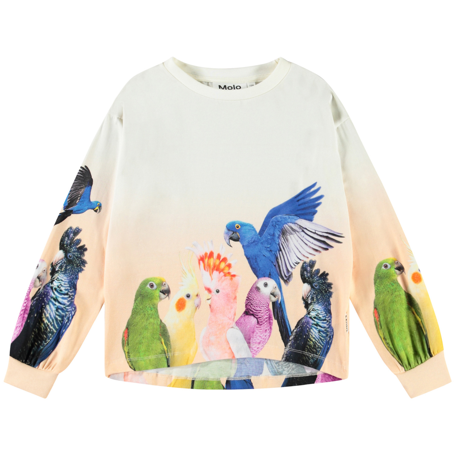 Reniza - Group Of Parrots