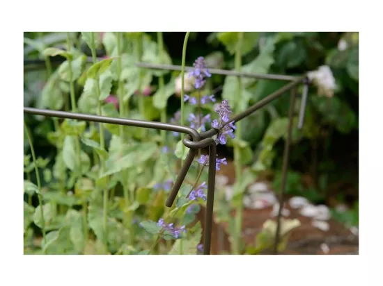Support à plantes en acier (Lot de 6) 60 cm