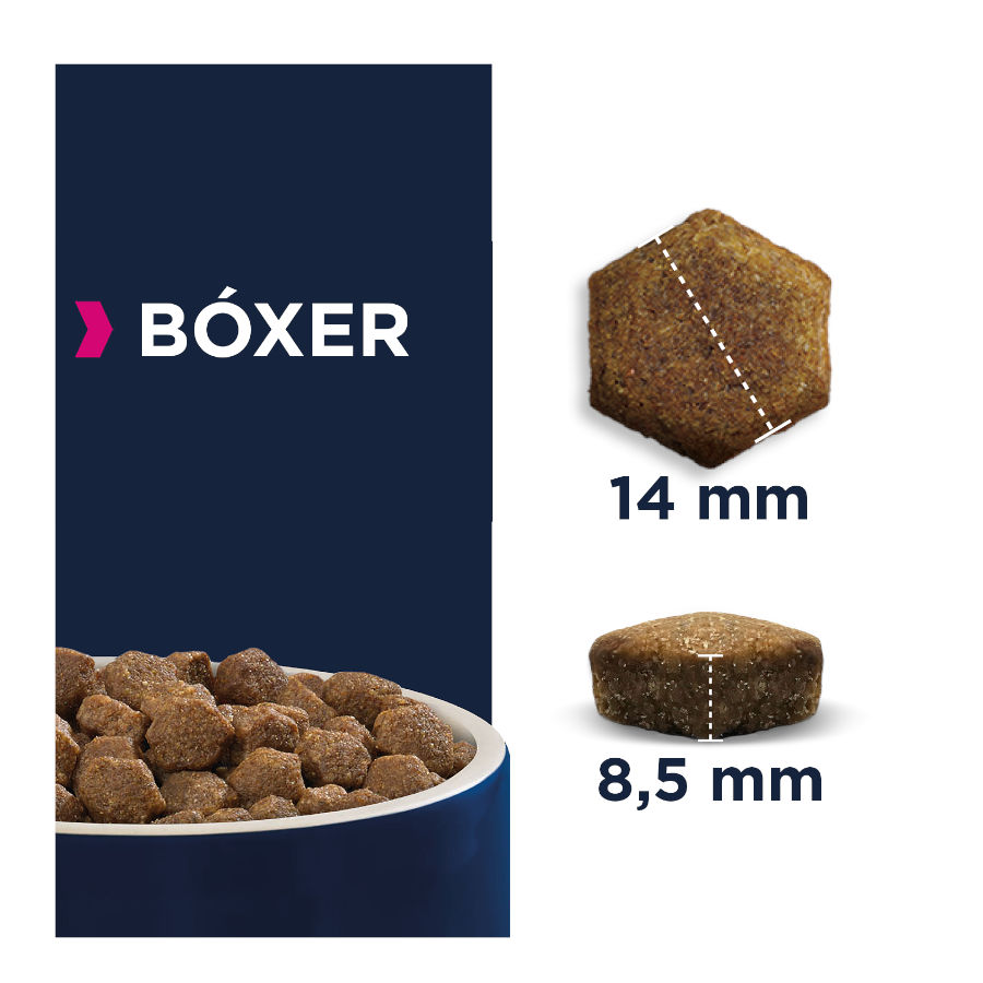 Ração Eukanuba Adult Boxer para cães