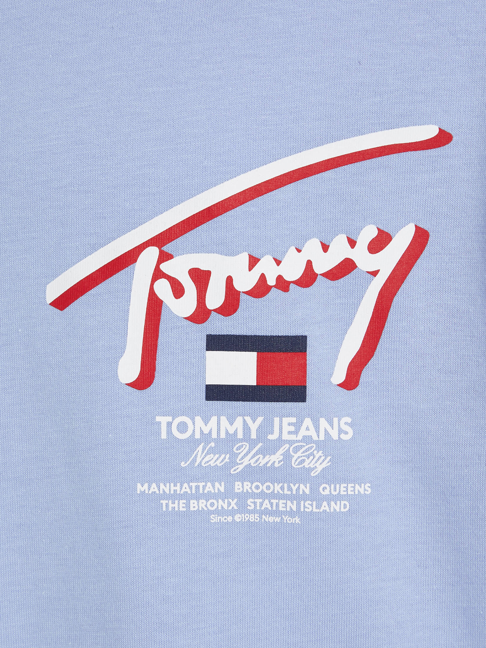 Tommy Jeans| Herren T-Shirt SIGNATUR-LOGO Regular Fit