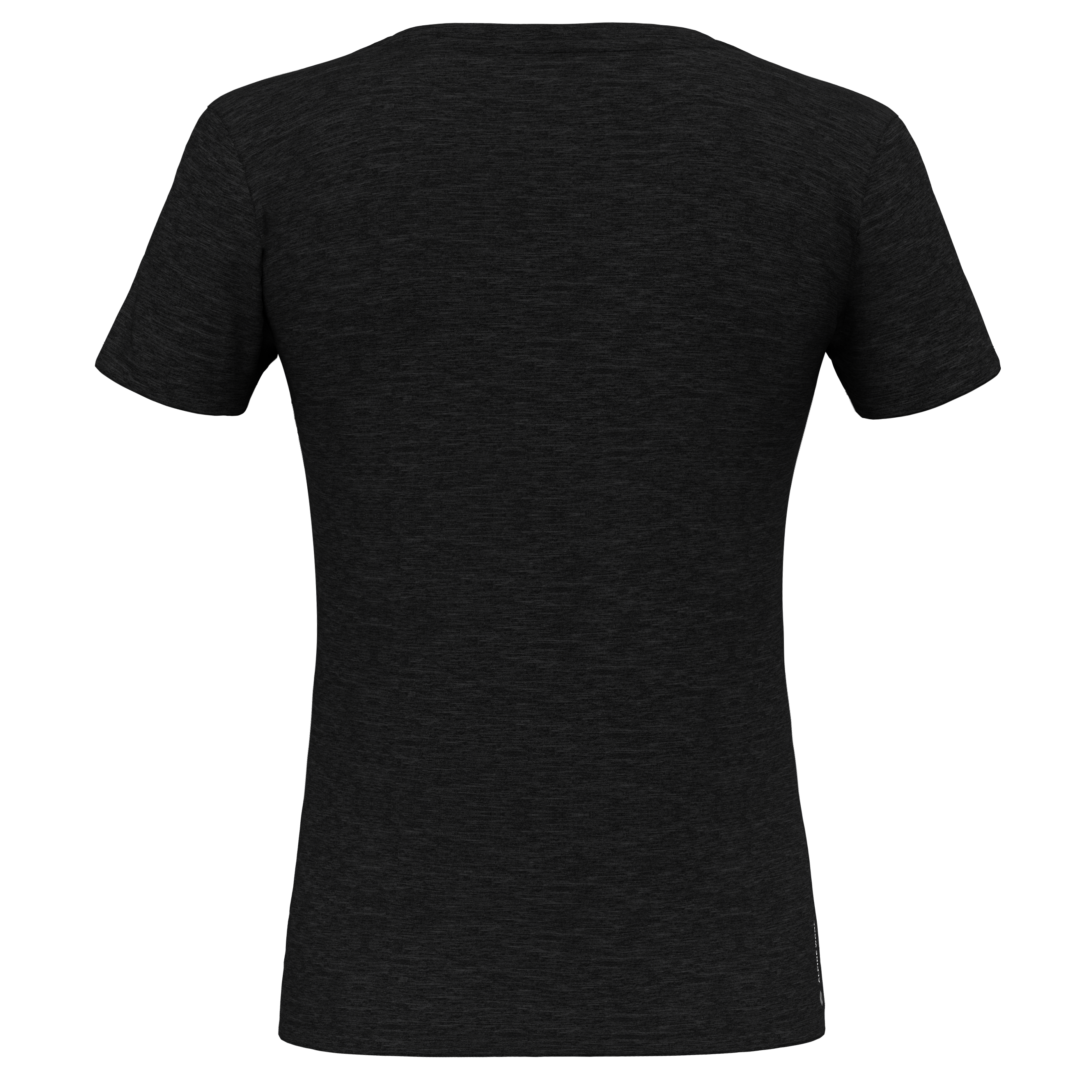Salewa Eagle Minilogo Merino T-shirt W`s