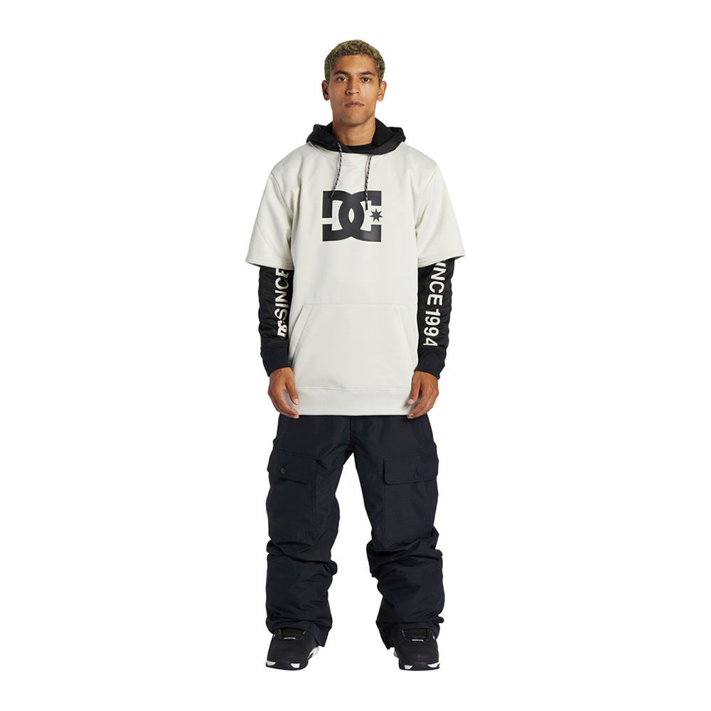 DC Shoes DRYDEN - Sweat Homme silver birch