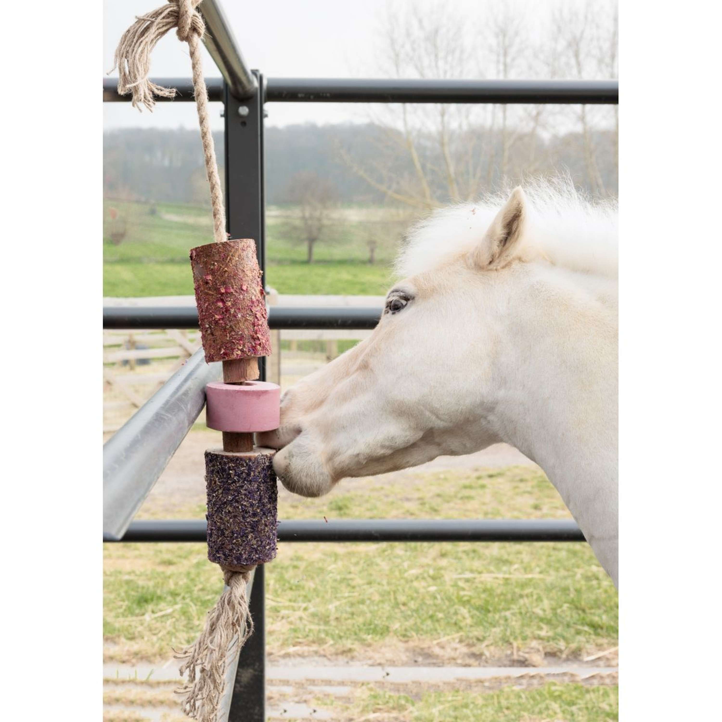Grooming Deluxe by Kentucky Relax Horse Toy Wooden Sammy with Salt Lic