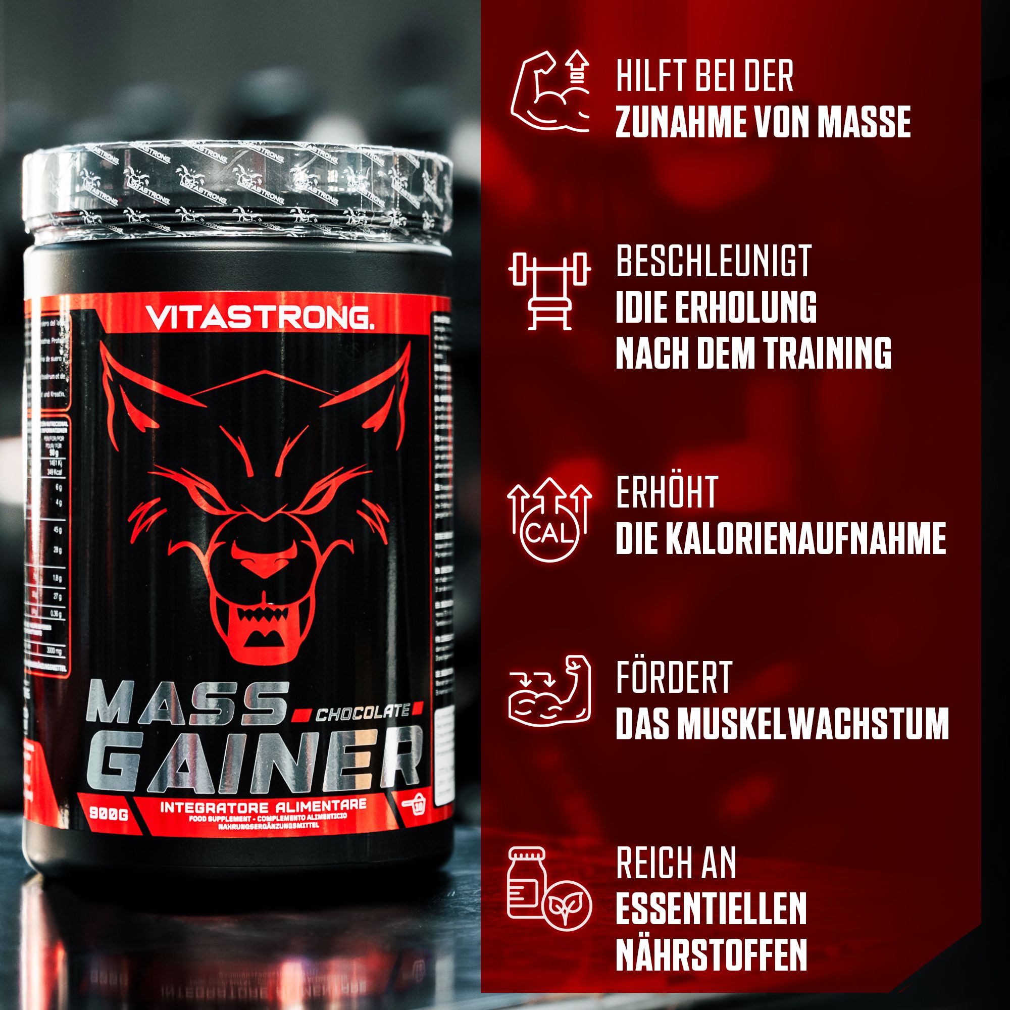 Vitastrong Mass Gainer