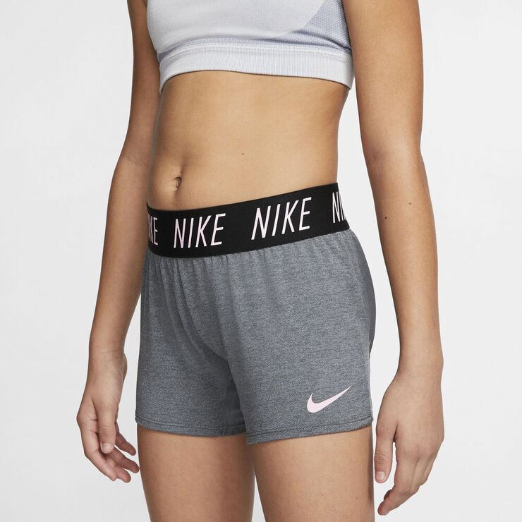 Nike Dry Traening Shorts Grå