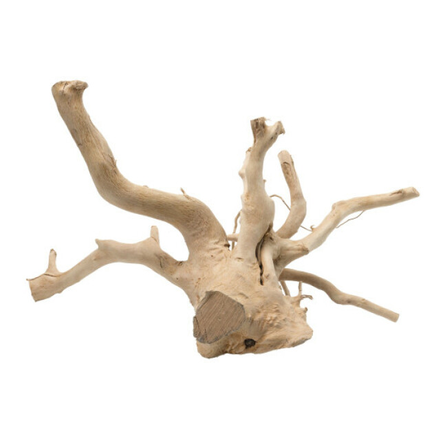 Décoration flottante Bois Driftwood poli Aqua Della