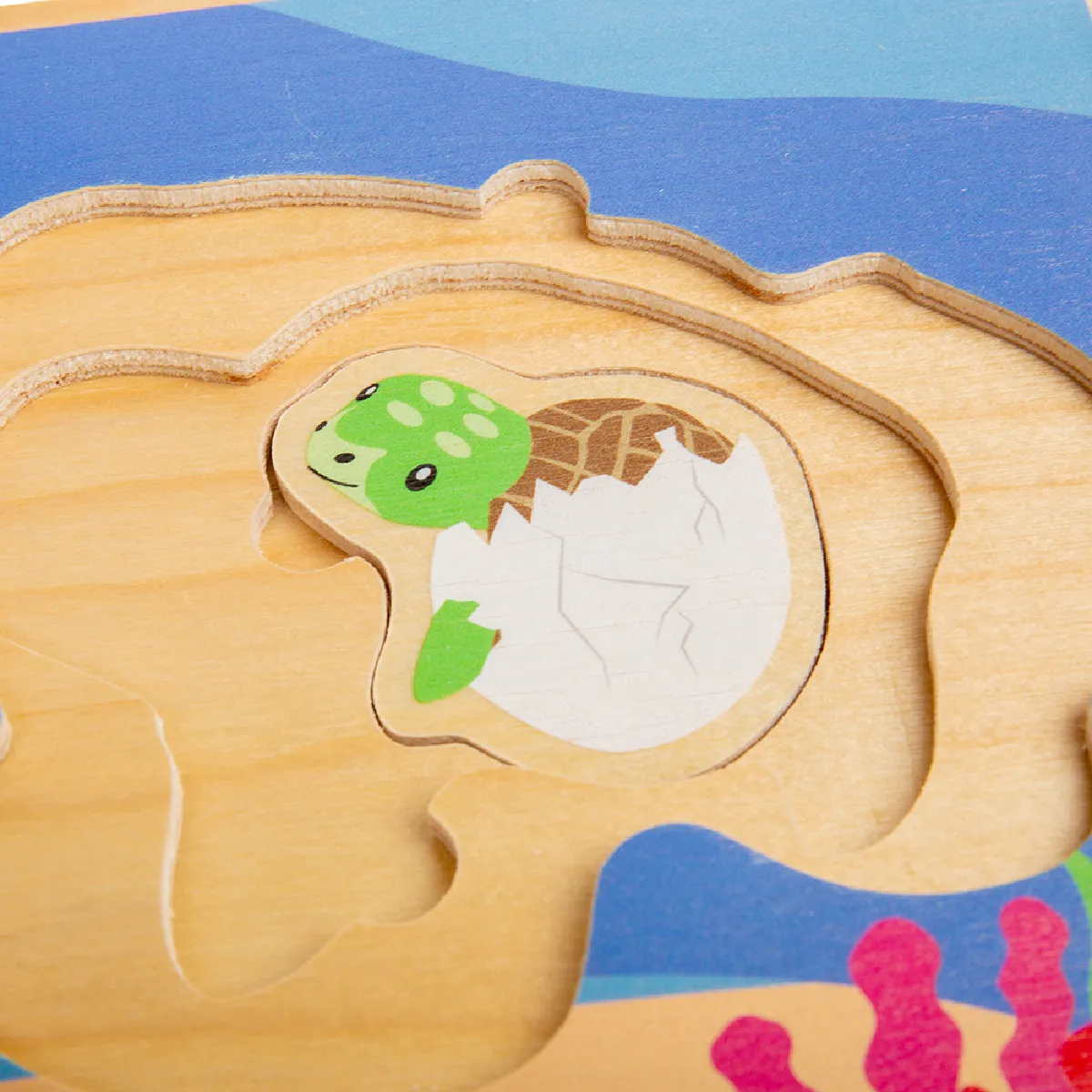 Bigjigs Toys Cycle de vie Tortue de mer