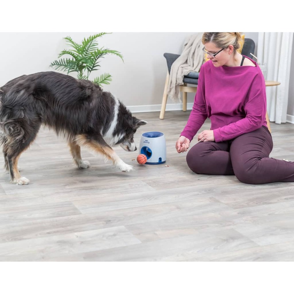 Balle d'activité chien 2-en-1 et jeu de stratégie de friandises