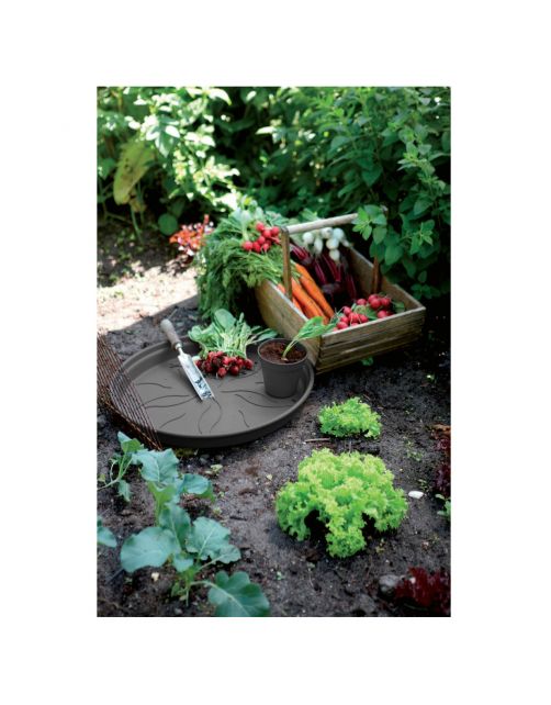 Elho Green Basics Schotel - Plantenschotels - 14 cm Zwart