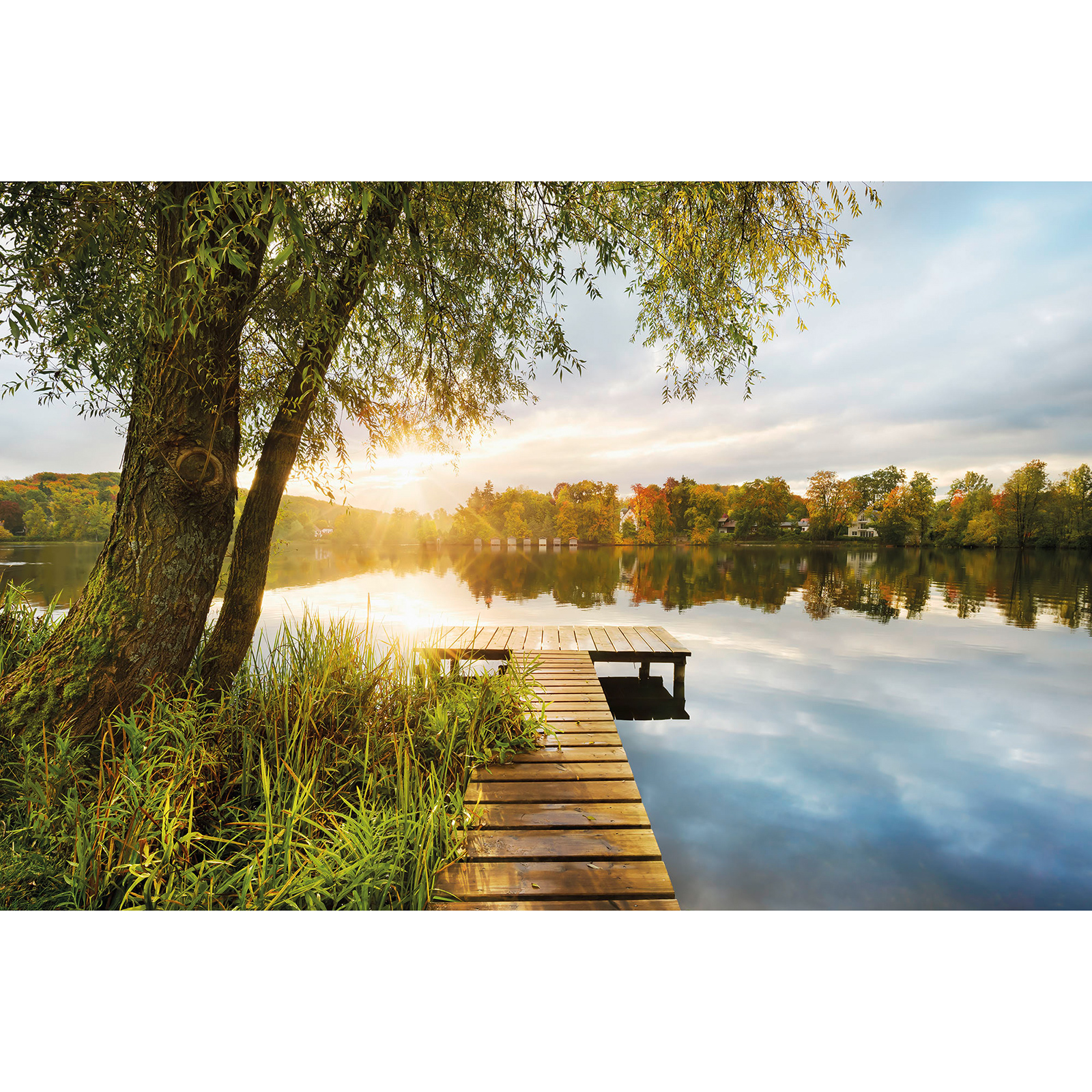 Vlies-Fototapete PICNIC - bunt - 368x248 cm