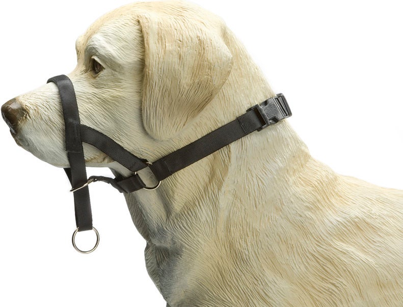Beeztees hondenhalsband Dog Control zwart XL