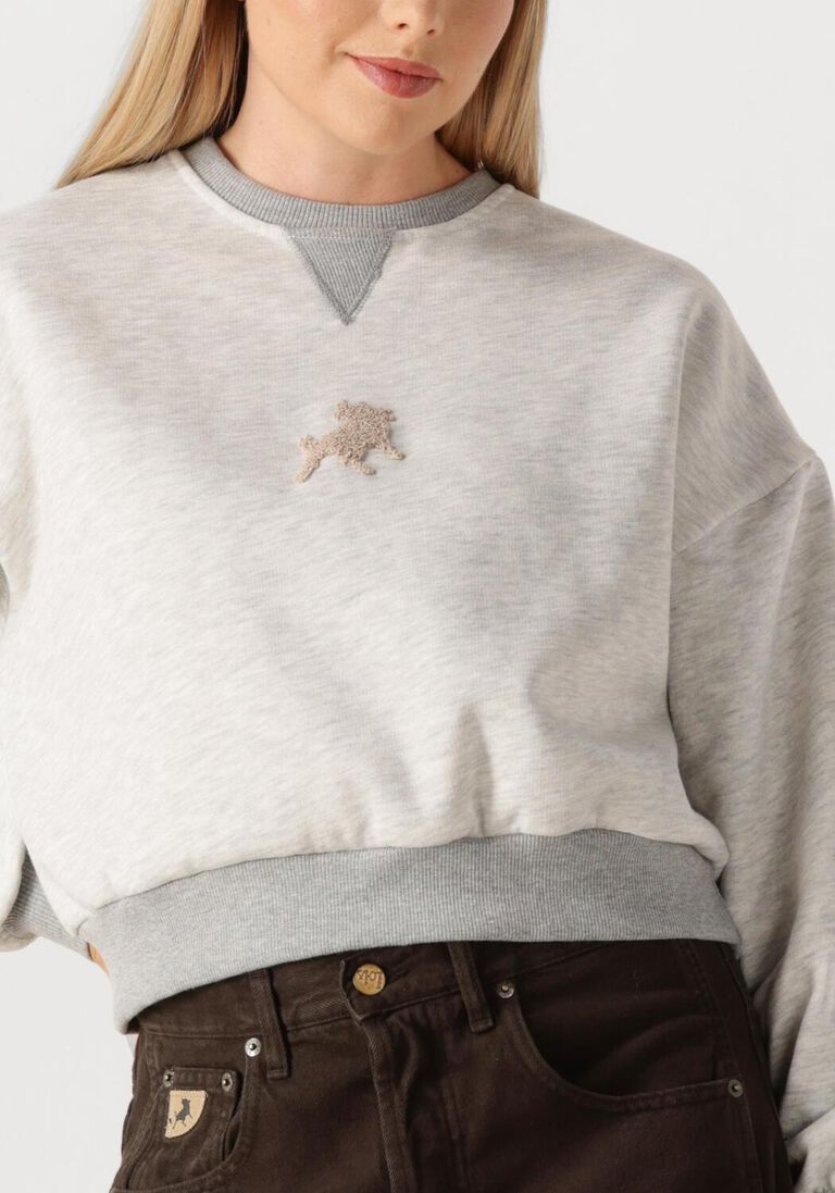 grijze lois jeans sweater cropp over