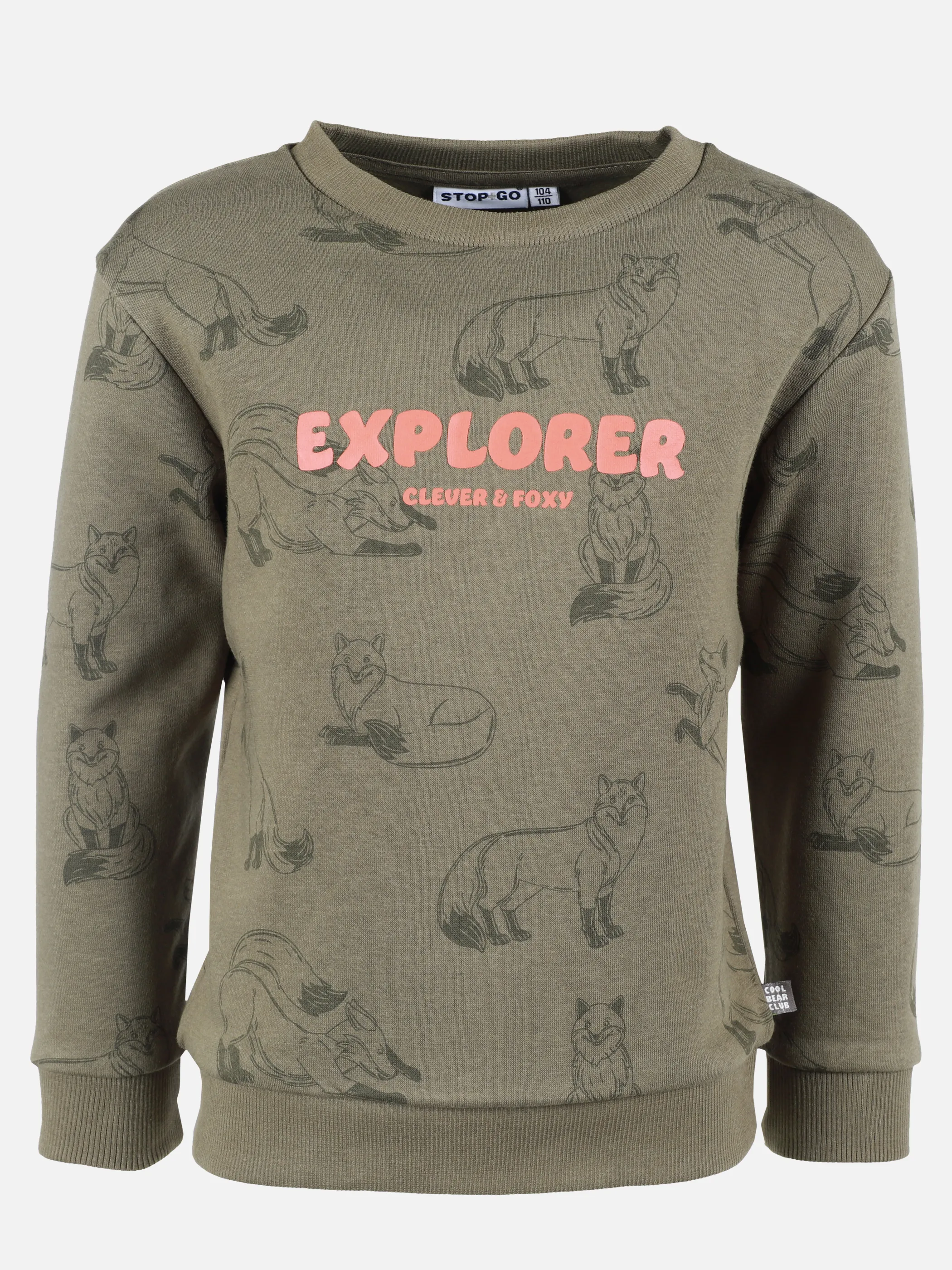 Jungen Sweater mit Fuchsmotiv