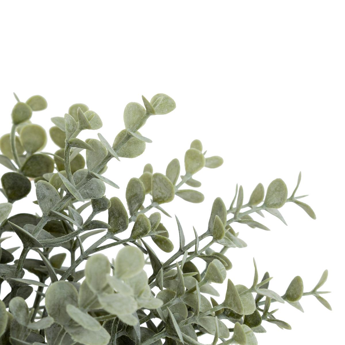 BOUQUET EUCALYPTUS JAMES H.30CM
