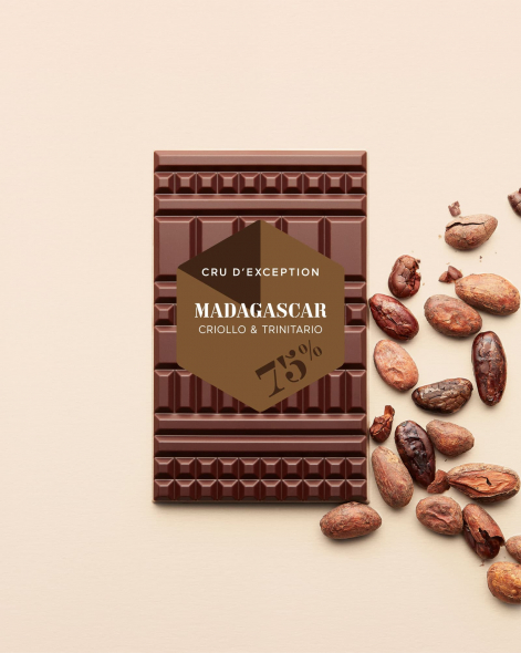Tablette Madagascar Criollo & Trinitario Chocolat Noir 75% | Le Chocolat Alain Ducasse 75g