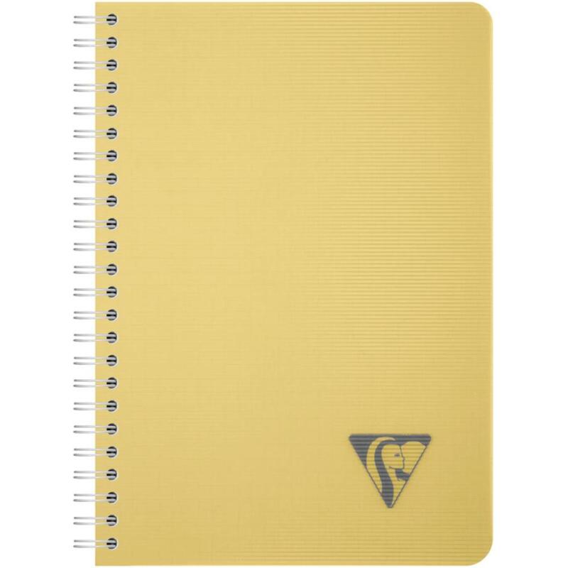 Carnet reliure intégrale Linicolor ESSENCE A5 180 pages petits carreaux couverture plastique polypropyène rainuré - Assortis