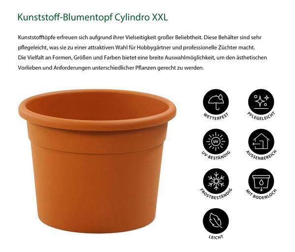 Dehner Kunststoff-Blumentopf Cylindro XXL,