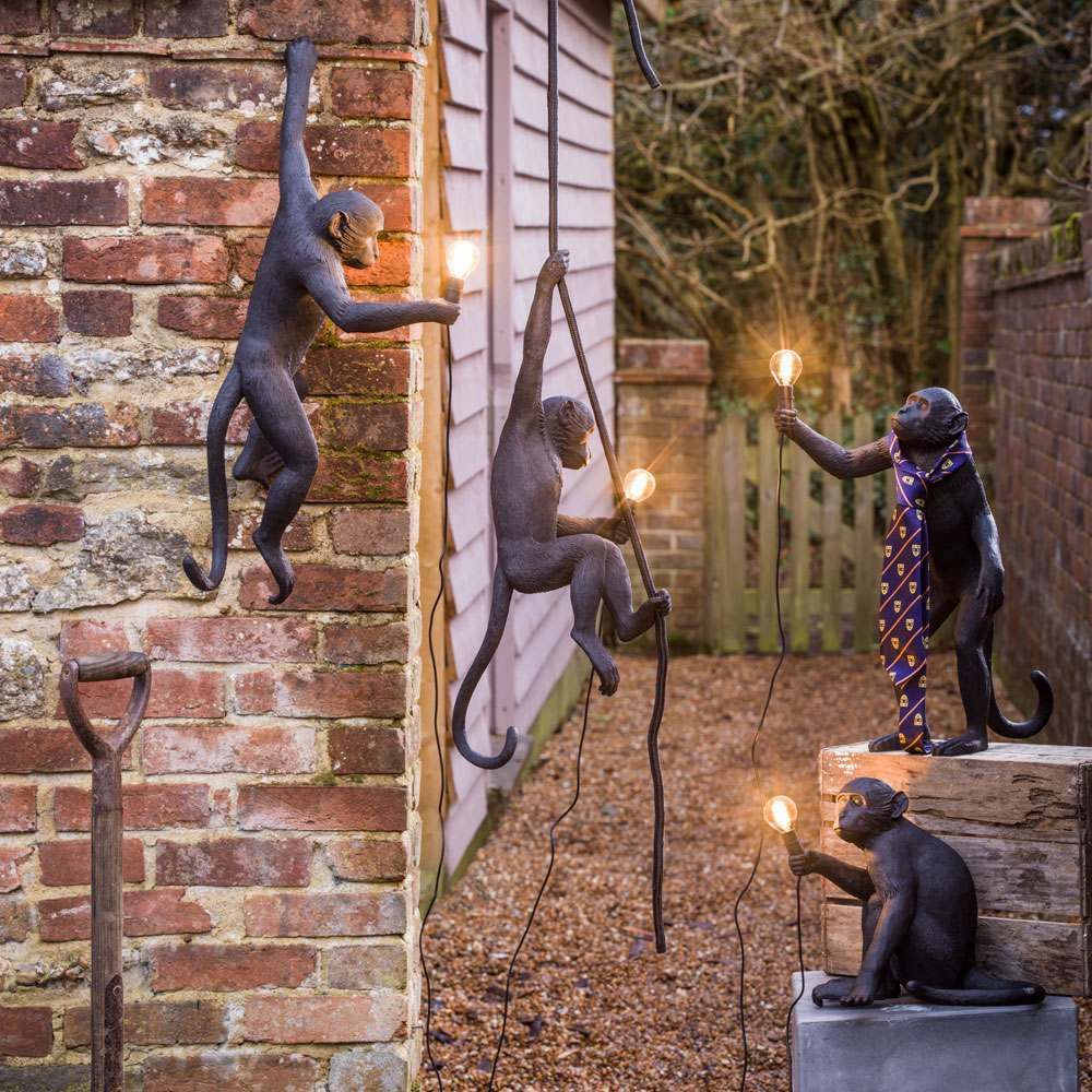 Seletti Monkey Outdoor Lampresin Hanging