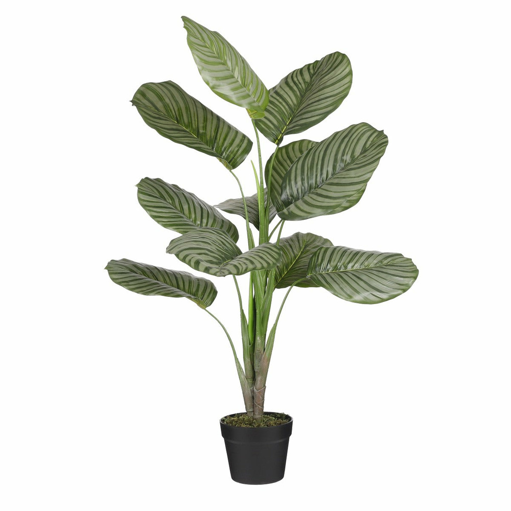 Calathea orbifolia artificielle en pot h90