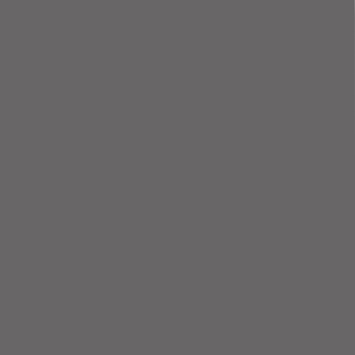 Kleurstaal KARWEI aluminium jaloezie 25 mm mat antraciet (kleurnr. 28403)