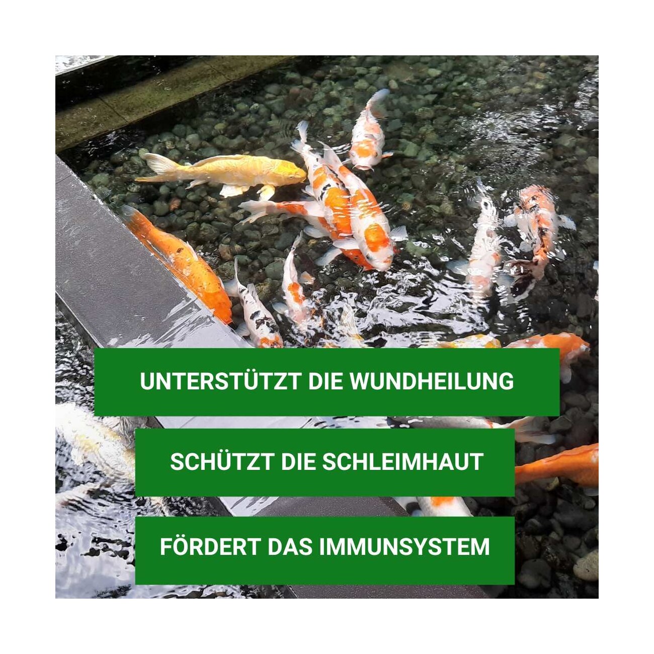 Aqua-Cereal KOI-HUMIN Konzentrat 0,5Liter
