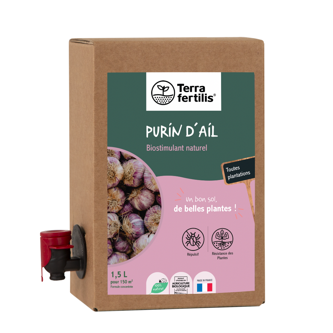 Purin d'ail - formule concentrée 1,5l