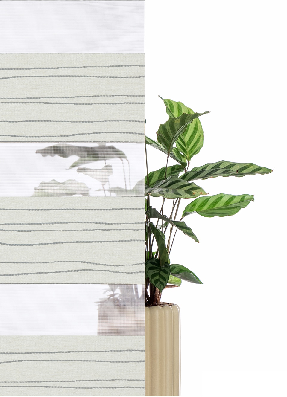 my home Doppelrollo »PAGELLA« Lichtschutz Blendschutz | Sichtschutz | Verdunkelung ohne Bohren freihängend mit eingewebten Chenillefäden NEUHEIT!