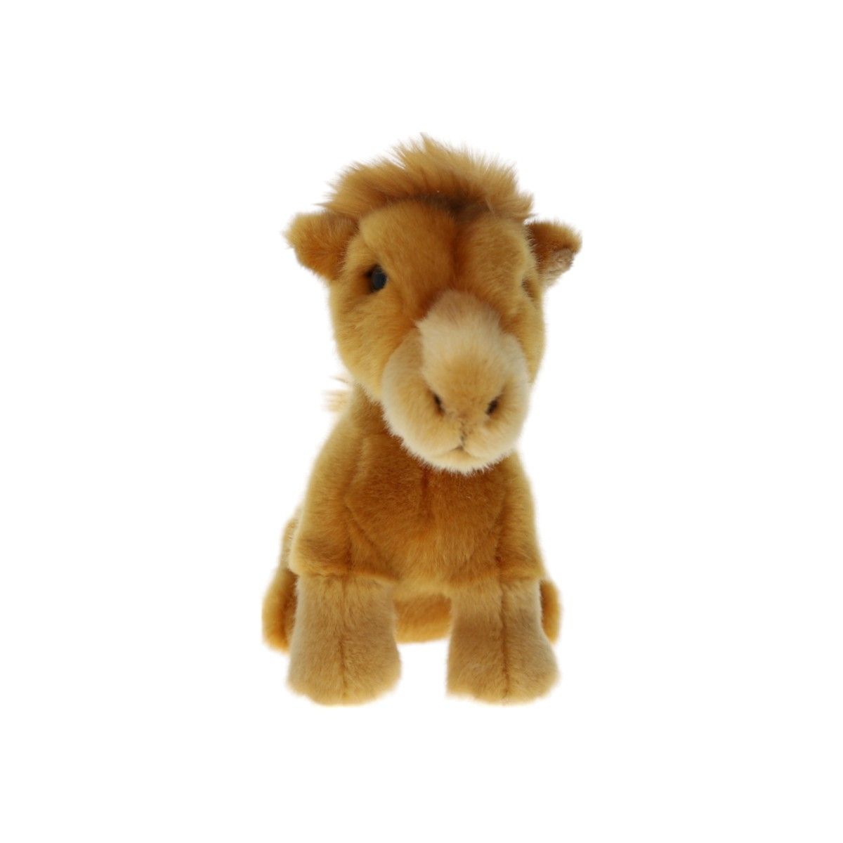 Peluche dromadaire - Sahara Mercredi et Patati