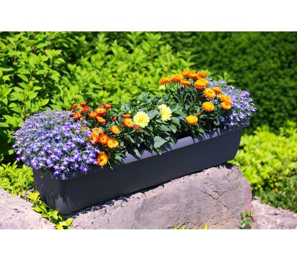 Geli Kunststoff-Blumenkasten Aqua Andalucia