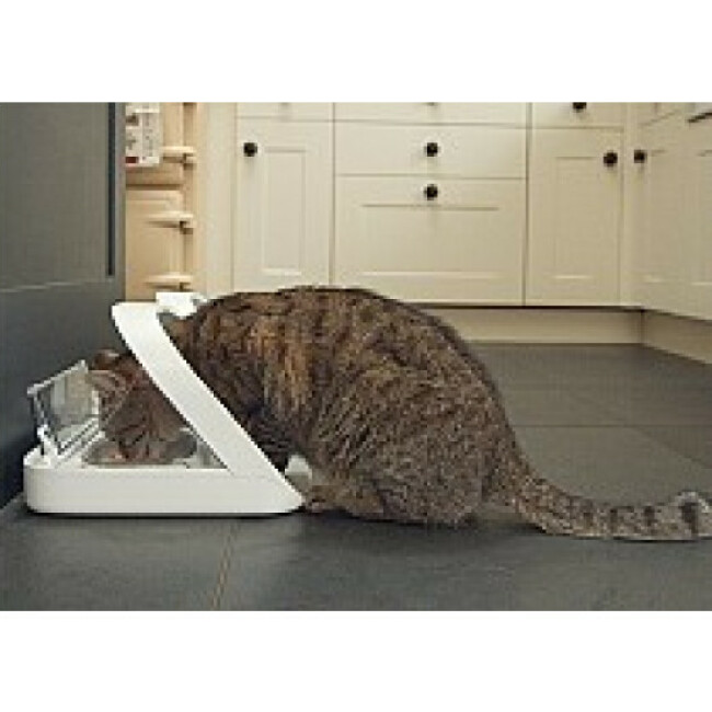 Accessoires pour Distributeur de nourriture Surefeed Petcare à puce électronique