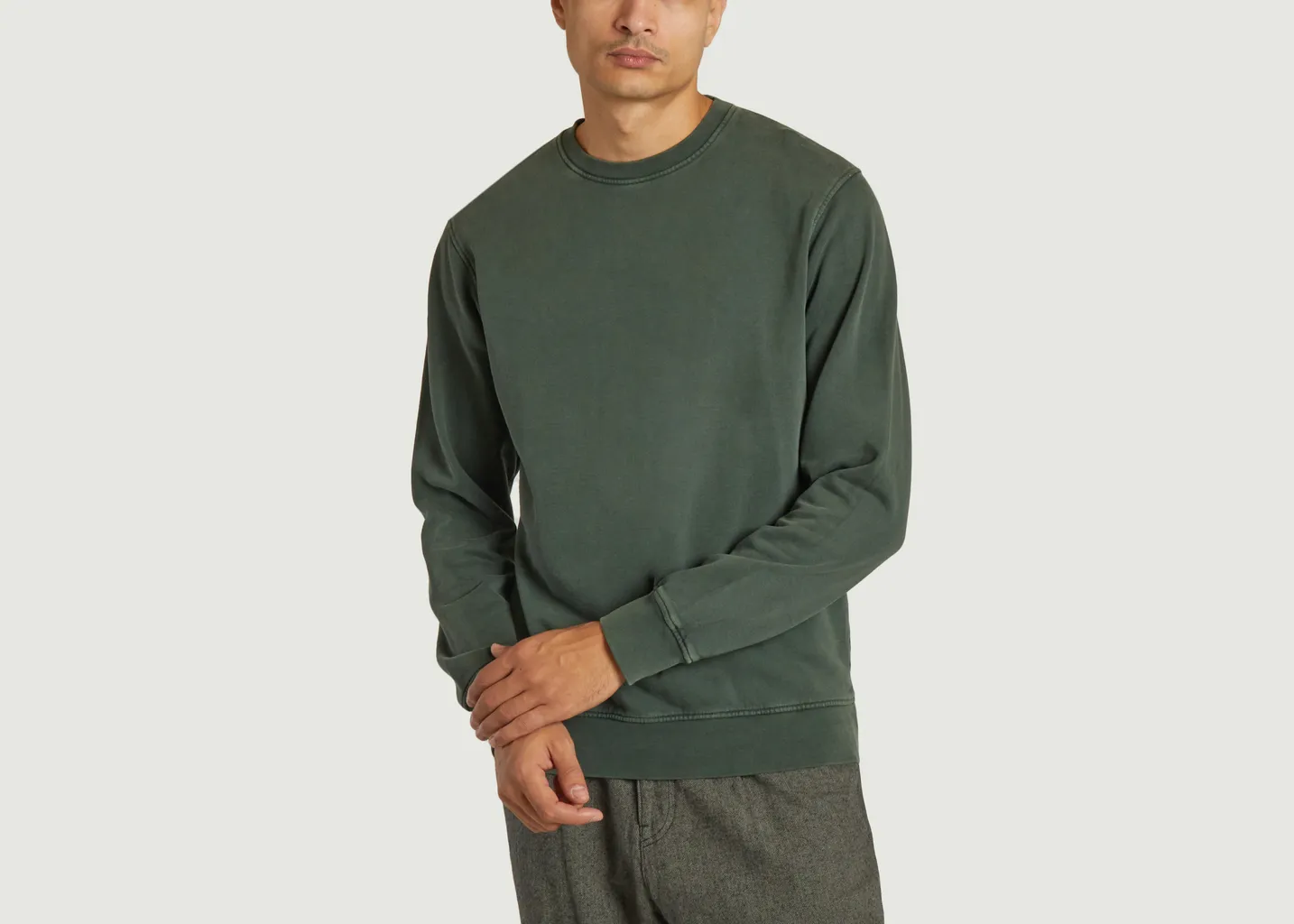 Classic Organic Crew Colorful Standard