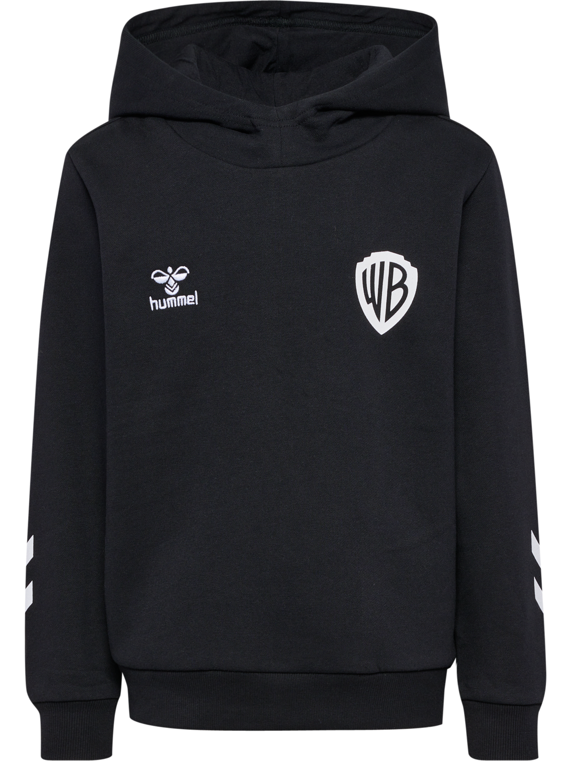 hmlCELEBRATING STORY HOODIE