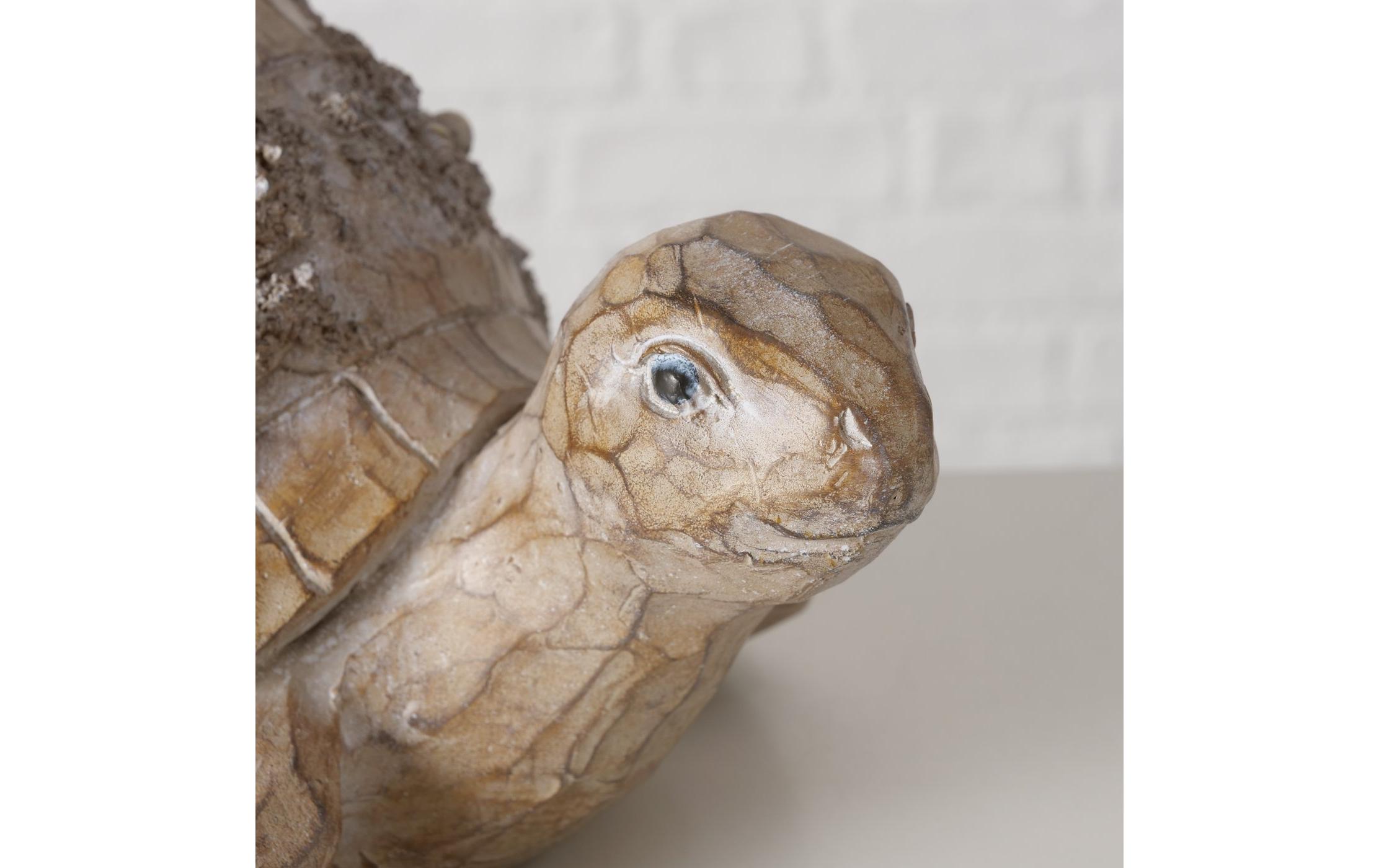 Dekofigur Elysia 11.5 cmSchildkrötenfigur