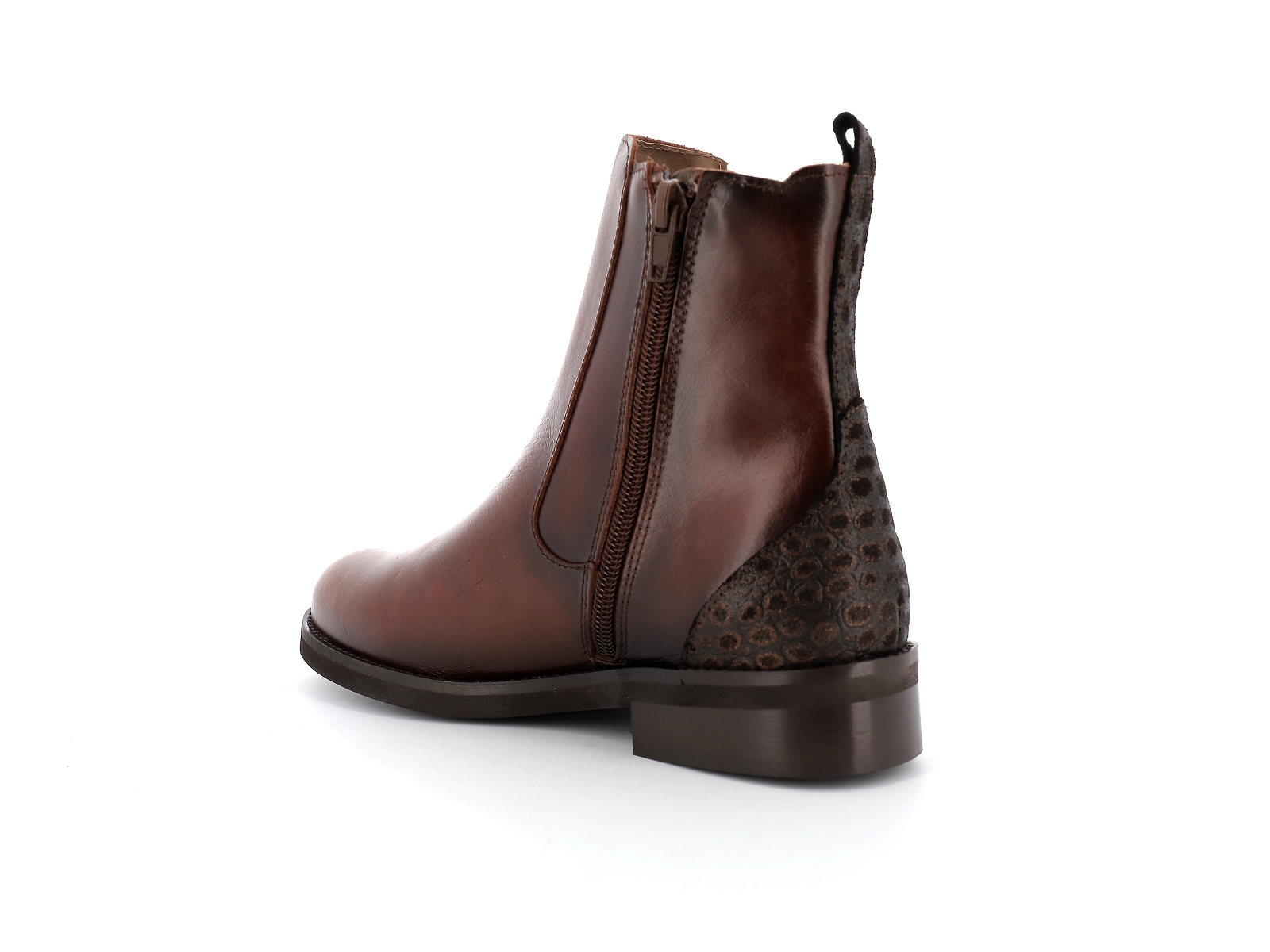 Rock and rose-CV5501 Cuir Multi-Marron