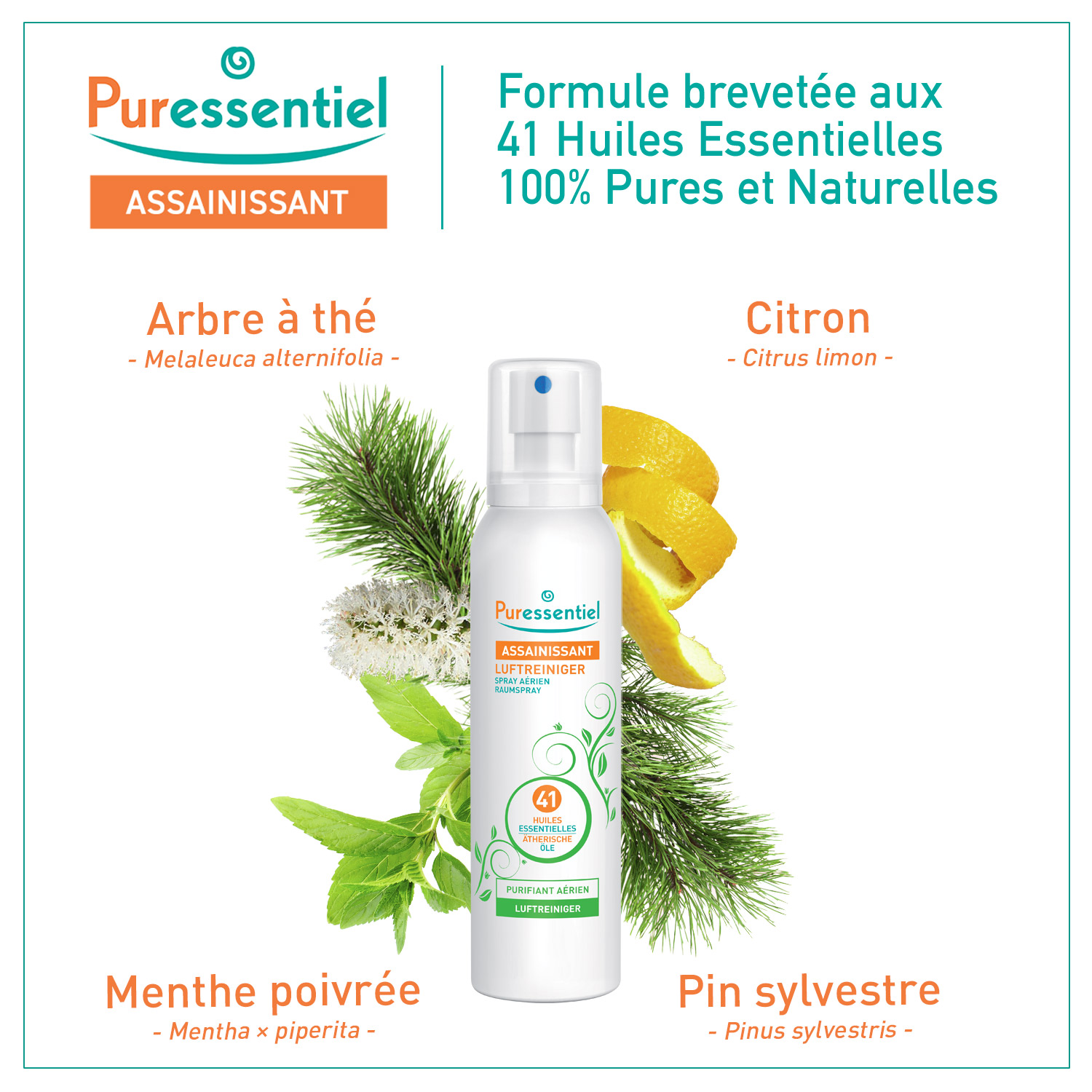 Puressentiel Reinigender Luftspray 41 ätherische Öle 200 ml