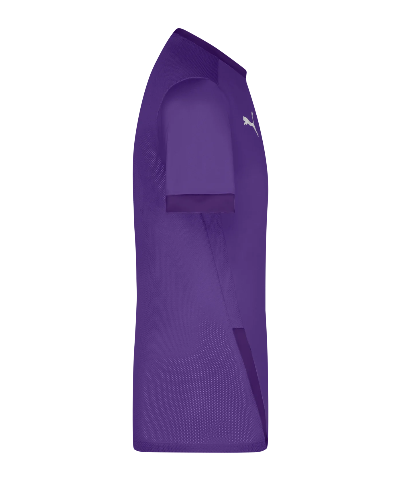 PUMA teamGOAL 23 Trikot kurzarm Lila F10