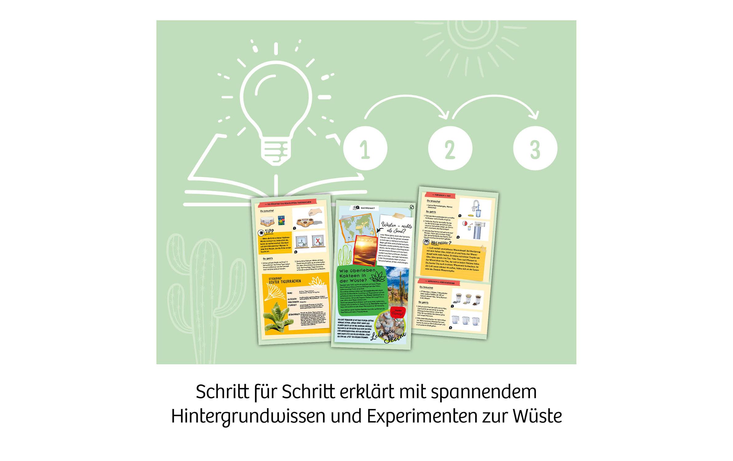 Experimentierkasten Kakteen-WüsteKomplettset mit Gewächshaus, Erde und Samen